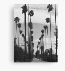 Vintage Black & White California Palm Trees Photo Canvas Print