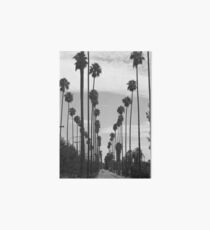 Vintage Black & White California Palm Trees Photo Art Board