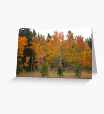 Autunm Bright Greeting Card