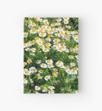 Field of chamomiles Hardcover Journal