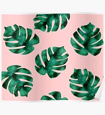 Tropical fern leaves on peach Poster