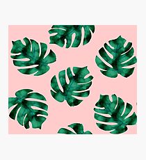 Tropical fern leaves on peach Photographic Print