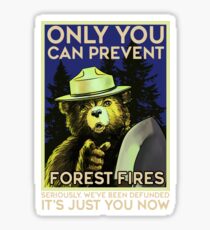 Only You Can Prevent Forest Fires: Stickers | Redbubble