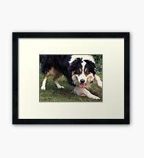 Laddie with a twist. Framed Print