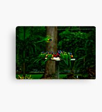 Not another bird shot! Canvas Print