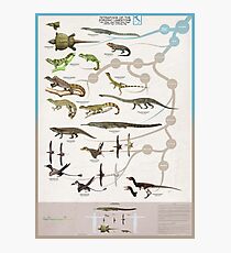 Tetrapods of the Zorzino Limestone Photographic Print
