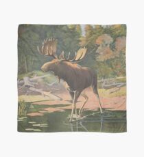 Vintage Moose Illustration (1902) Scarf
