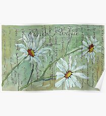 Daisies Postcard 1 Poster