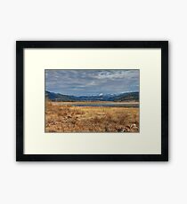 Moody Morning Framed Print