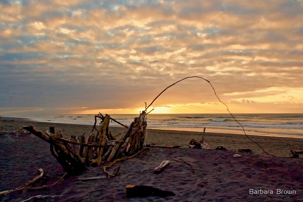 "Driftwood Dreams" by Barbara Brown Redbubble