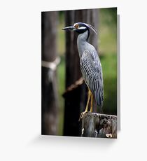 Standing Guard Greeting Card