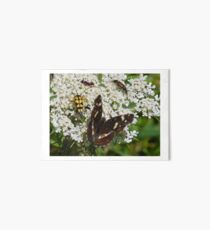 butterfly flower Art Board