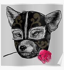 The Mask of el Zorro luchador Poster