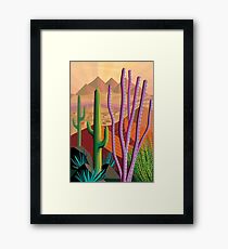 Tucson Framed Print
