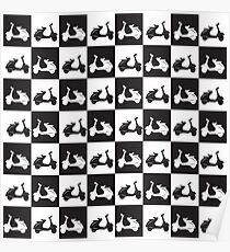 Mod checker black and white vespa lambretta scooter Poster