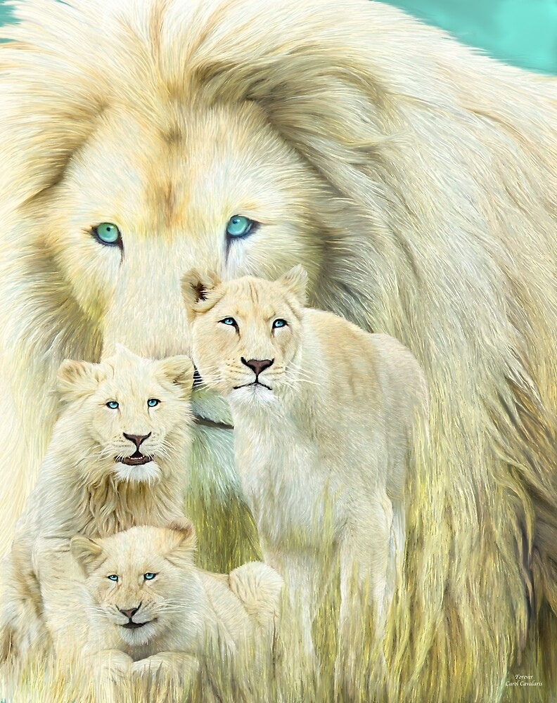 "White Lion Family - Forever" By Carol Cavalaris | Redbubble