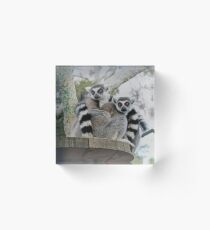 Lemur hugs Acrylic Block