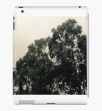 Eucalyptus iPad Case/Skin