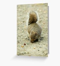 Foraging Greeting Card