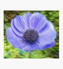Flower in Blur Photographic Print