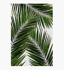 Palm Leaf Green II Photographic Print