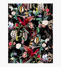 Floral and Birds IX Photographic Print