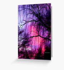 Winter Willow Greeting Card
