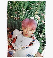 Chanyeol Poster