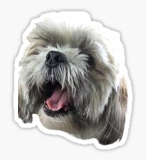Shih Tzu Sticker