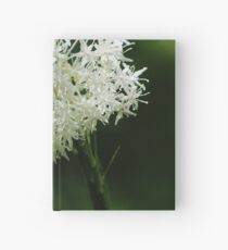 Quip-quip Hardcover Journal