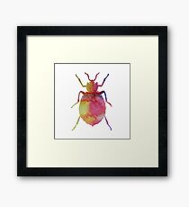 Watercolor animals - Bedbug Framed Print