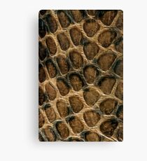 Serpent's skin pattern Canvas Print