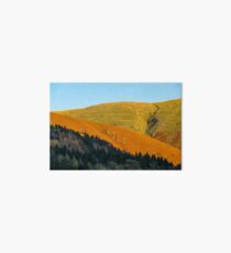 Golden Hillside Art Board