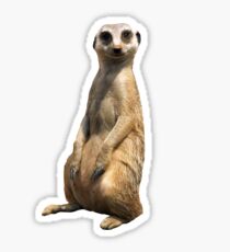 Meer Sticker