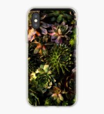 Succulent Cluster iPhone Case