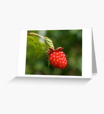 Fruitful Greeting Card