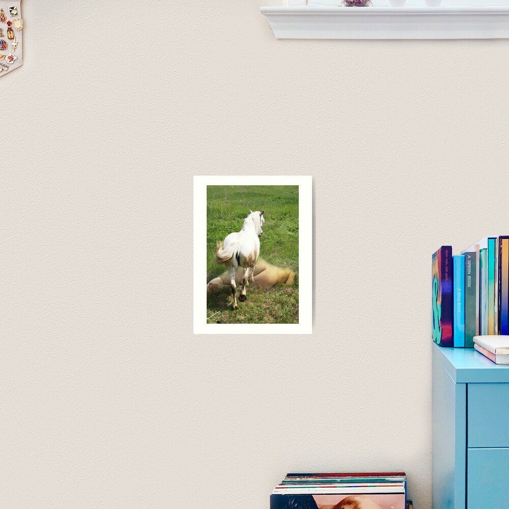 White Horse Art Print
