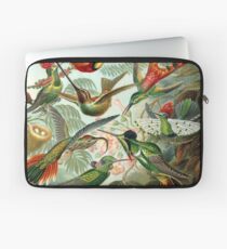 Kolibri Laptoptasche
