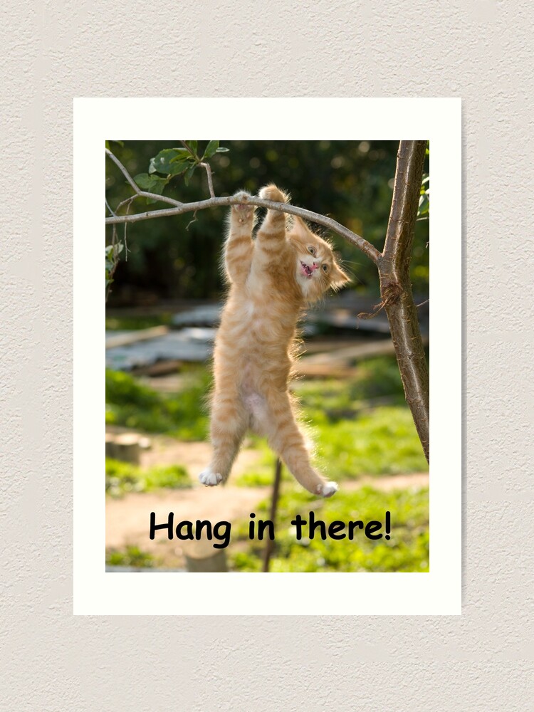 Hang In There Cat Poster Perfect Funny Motivational Poster For