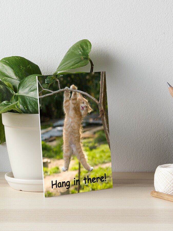 Hang In There Cat Poster Perfect Funny Motivational Poster For