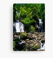 Anna Ruby Falls 2 Canvas Print