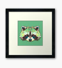 Raccoon Animals Gift Framed Print