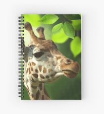 Cuaderno de espiral ¡Deja que tu fe sea más alta que tus miedos!