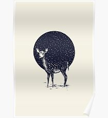 Snow Flake Poster