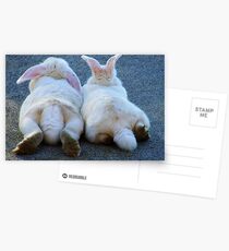 "LOVE" Postcards