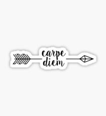 carpe diem arrow Sticker