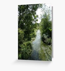 River Avill (Dunster) Greeting Card
