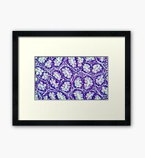 Lieberkhun - colon Framed Print