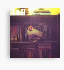 Lienzo Librería de pollo