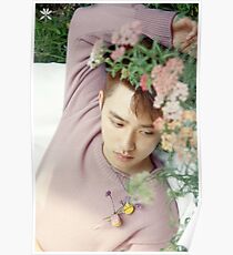 Kyungsoo KOKO BOP EXO Poster